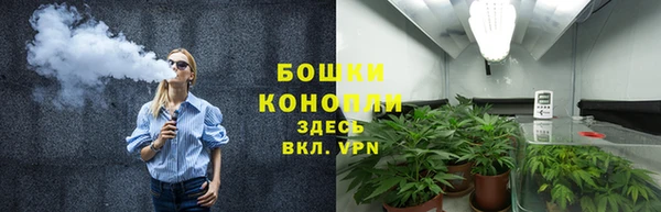 сатива Абдулино
