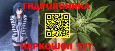 гидропоника Краснокаменск