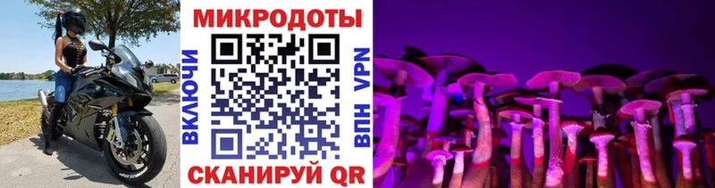 мориарти наркотические препараты  Ивантеевка  Галлюциногенные грибы Psilocybine cubensis  сколько стоит 