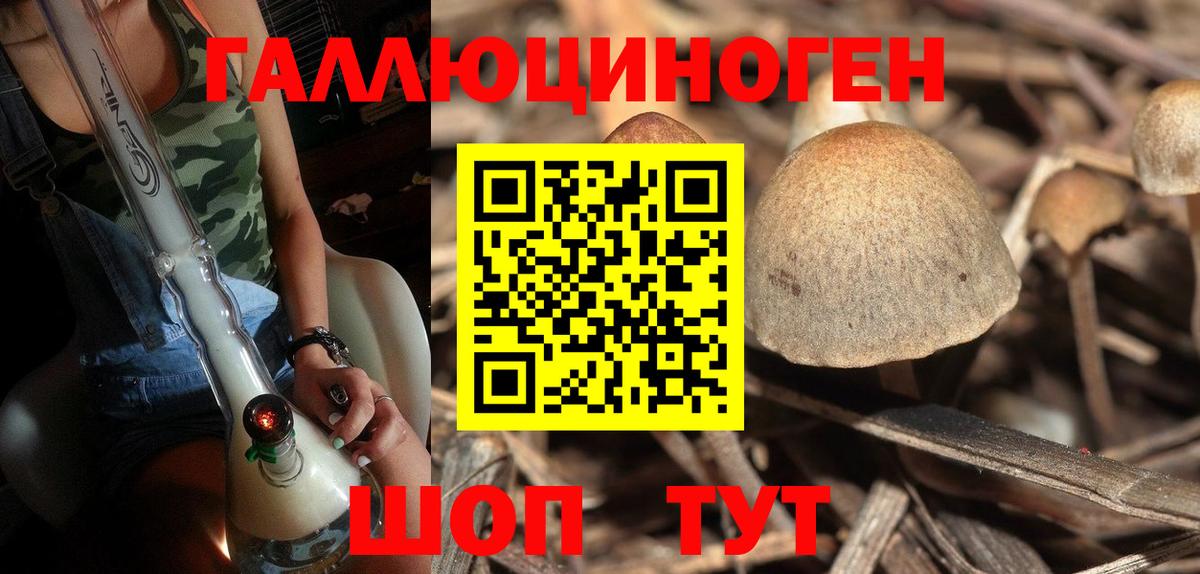 Ивантеевка  Галлюциногенные грибы мухоморы  Вход с VPN  сколько стоит  Псилоцибиновые грибы Psilocybe 